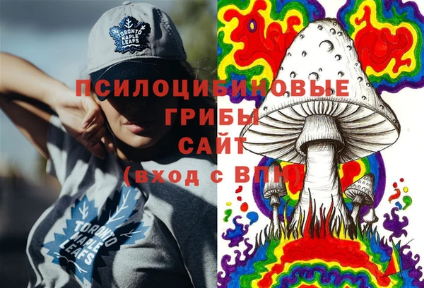 ГАЛЛЮЦИНОГЕННЫЕ ГРИБЫ Каменногорск
