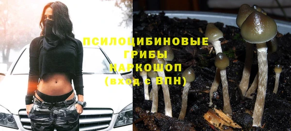 каннабис Карпинск