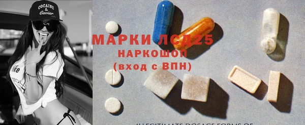 ГАЛЛЮЦИНОГЕННЫЕ ГРИБЫ Каменногорск