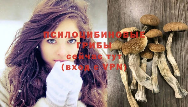 дурь Каменск-Шахтинский