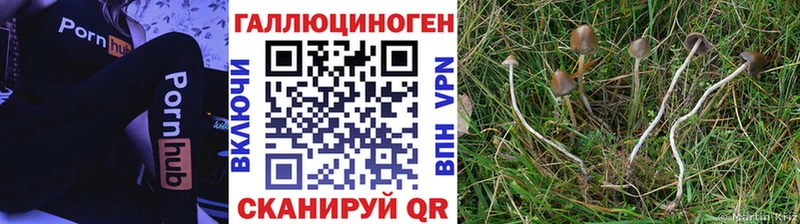Псилоцибиновые грибы Cubensis  купить наркотик  Калининск 